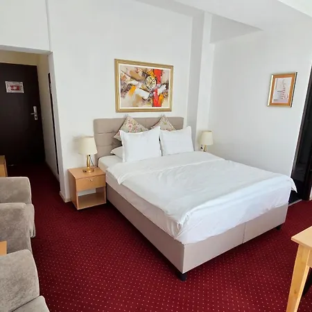 Hotel Bucur 3*
